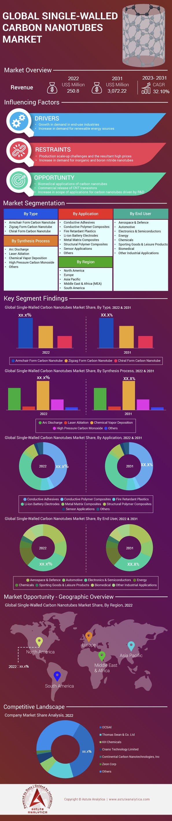 단일벽 탄소나노튜브 시장